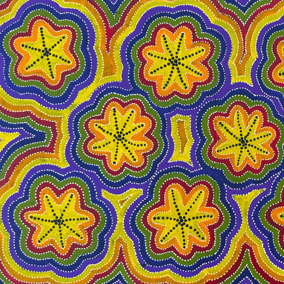 Marie Ryder Napangardi Santa Teresa Ltyentye Apurte Eastern Arrernte Eastern Aboriginal Art Indigenous Art Aboriginal Art Australian Art Bush Flowers Dot Art Painting Contemporary 