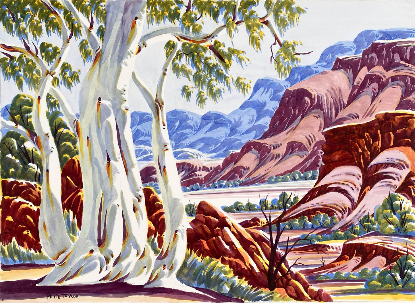 PETER TAYLOR TJUTJATJA - Central Australian Landscape