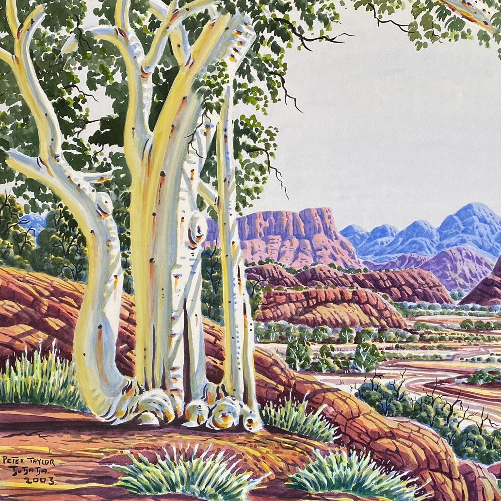 PETER TAYLOR TJUTJATA - Central Australian Landscape