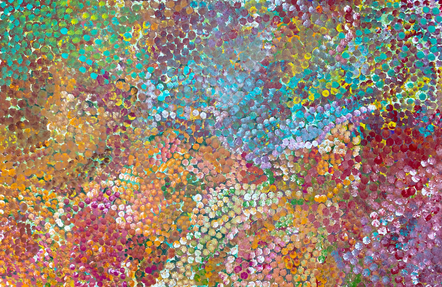 POLLY NELSON NANGALA - Bush Flowers