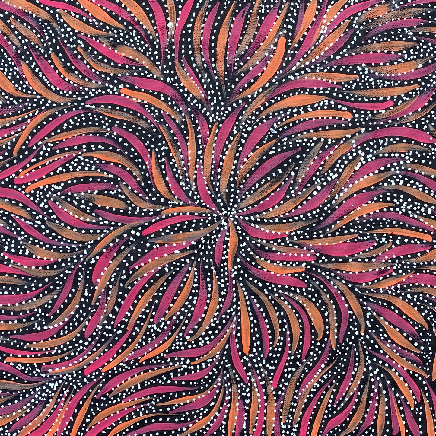 Rosemary Pitjara Petyarre Aboriginal Art Indigenous Art Australian Art Bush Yam Yam Seeds Yam Flower Contemporary Art