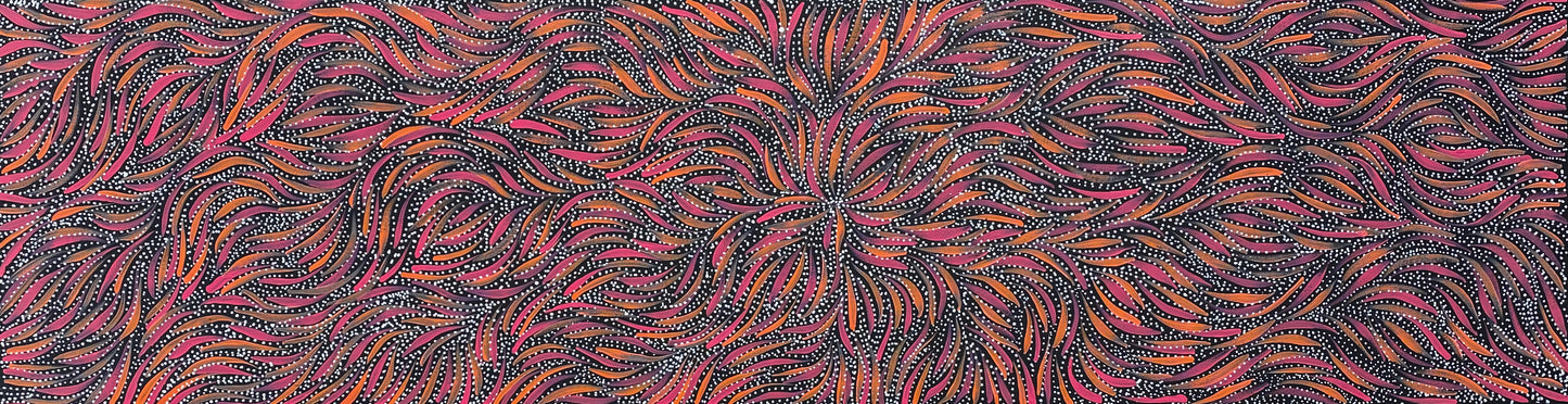 Rosemary Pitjara Petyarre Aboriginal Art Indigenous Art Australian Art Bush Yam Yam Seeds Yam Flower Contemporary Art