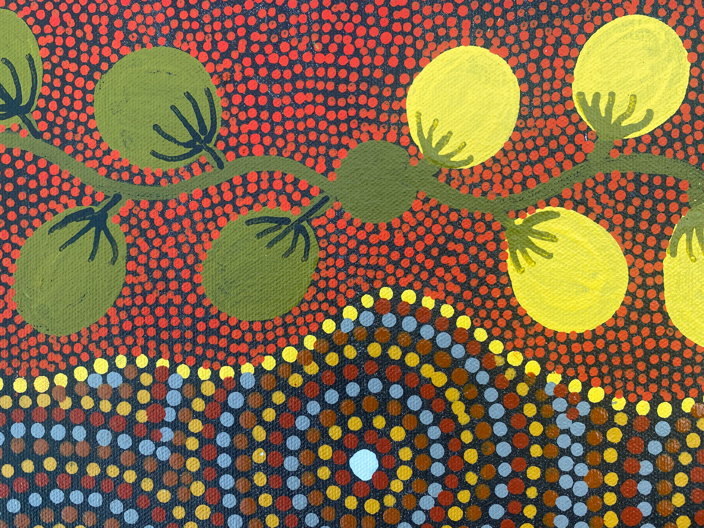 WILLIE RILEY JABANUNKA - Aboriginal Culture