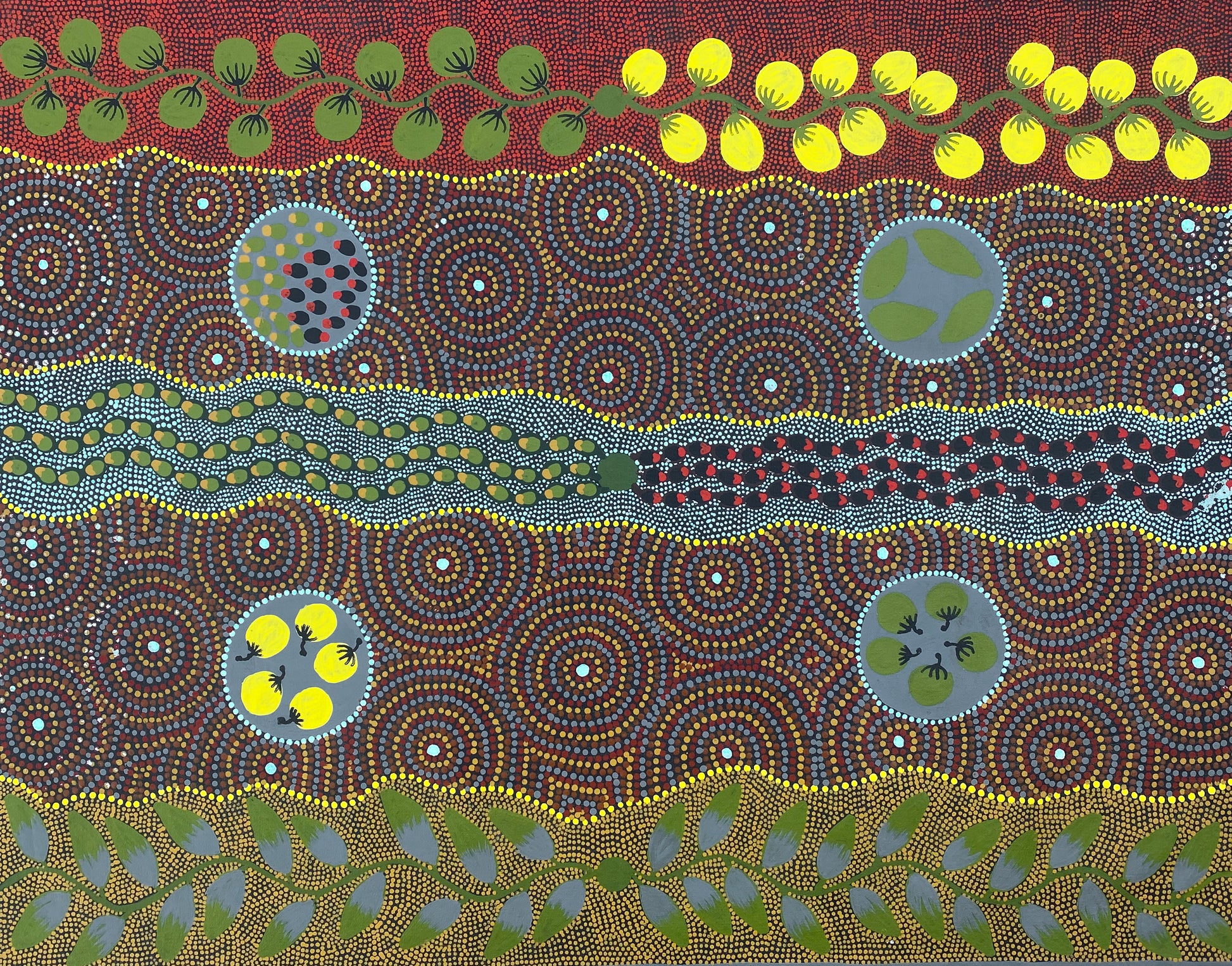 WILLIE RILEY JABANUNGA Aboriginal Culture Willowra Indigenous Art Aboriginal Art Australian Art Dot Art Bush Tucker Bush Banana Bush Tomato Willowra