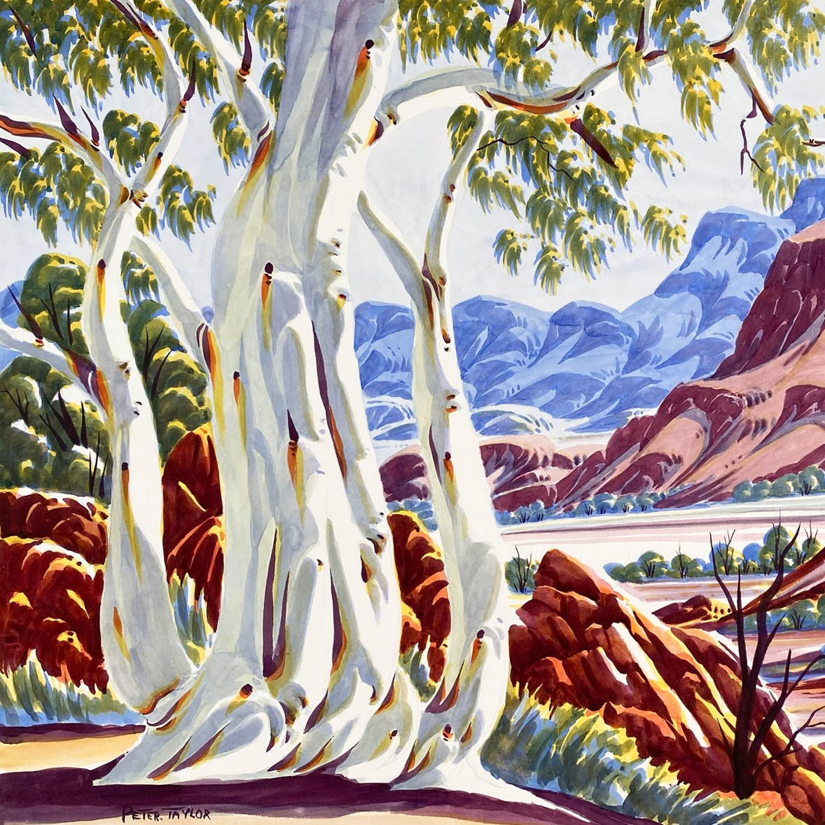 PETER TAYLOR TJUTJATJA - Central Australian Landscape